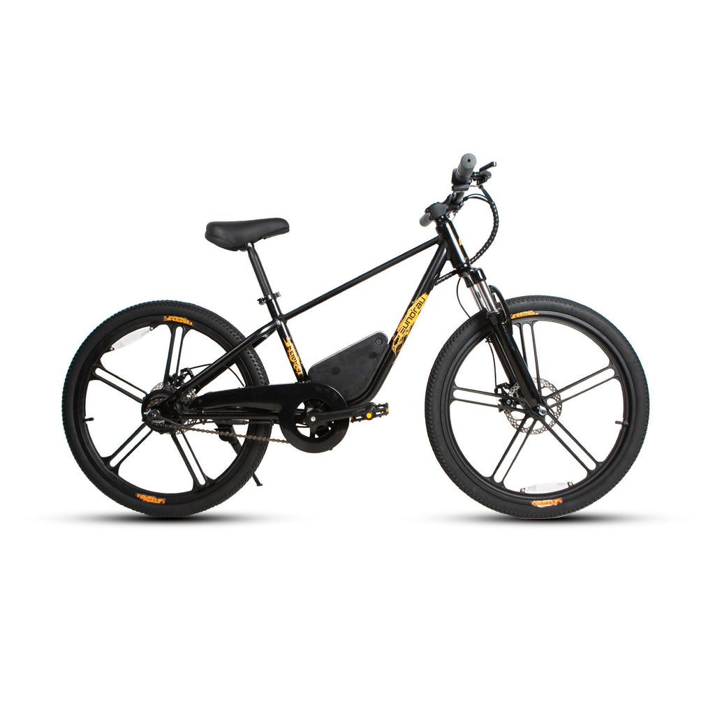 24 inch electric bike