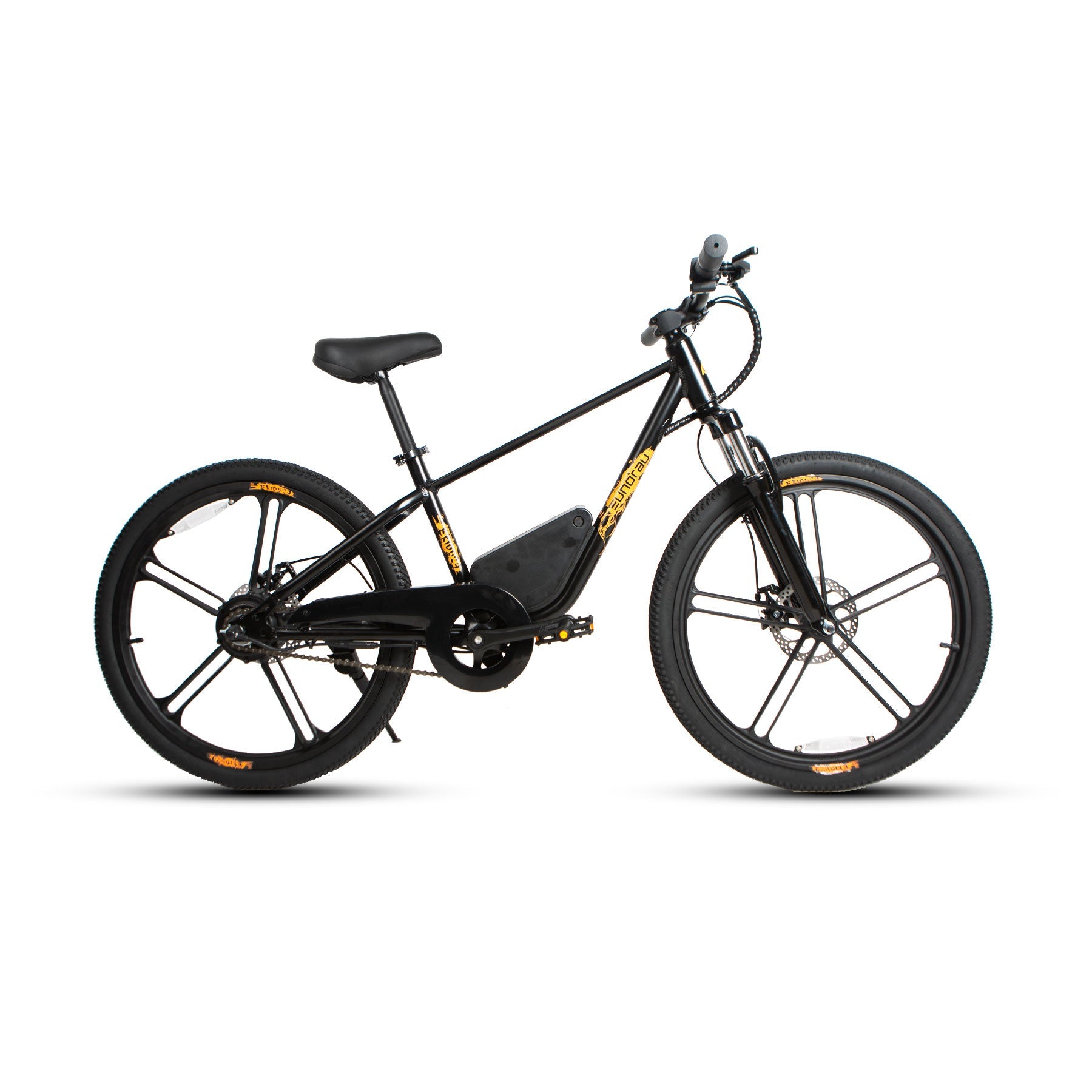 24 inch electric bike