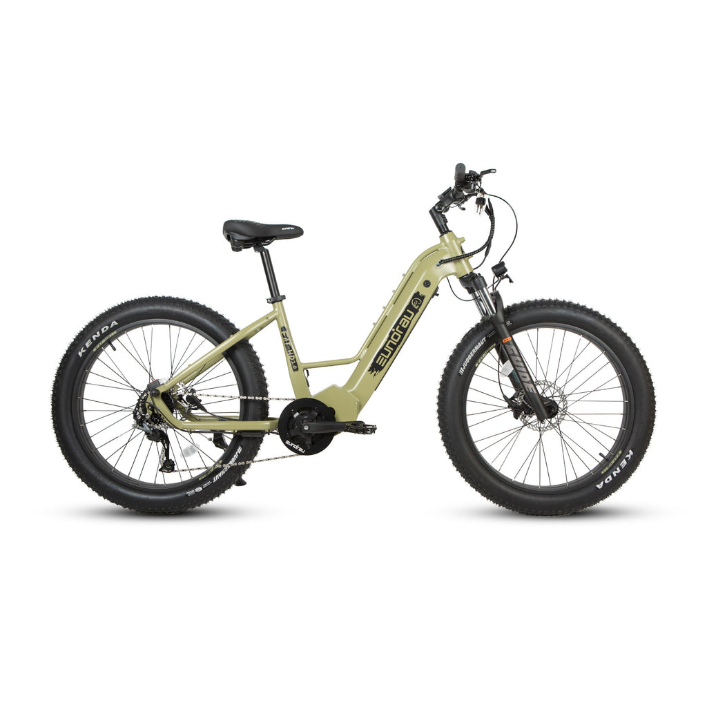 E hunting bike