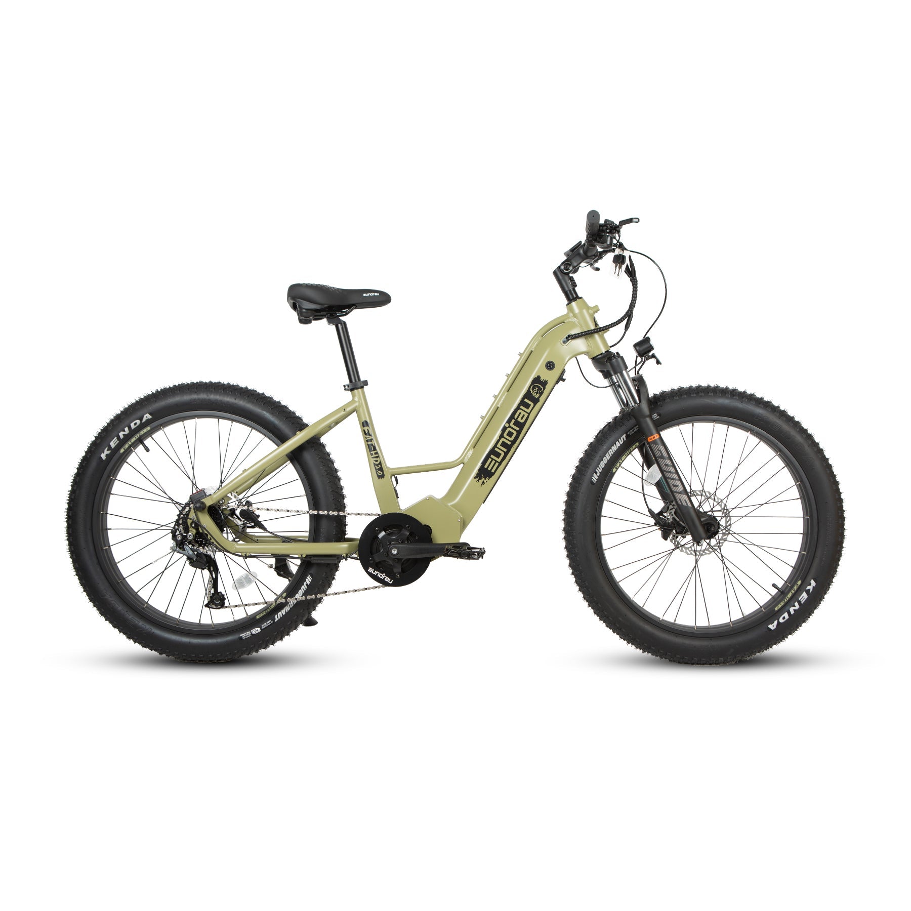 E hunting bike