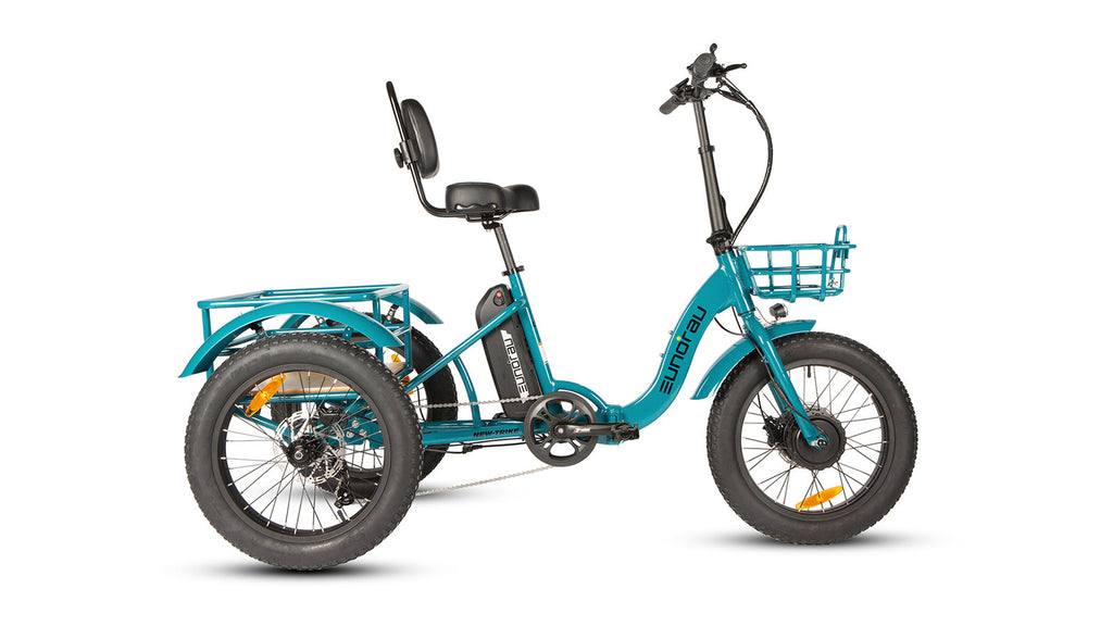 trike ebike