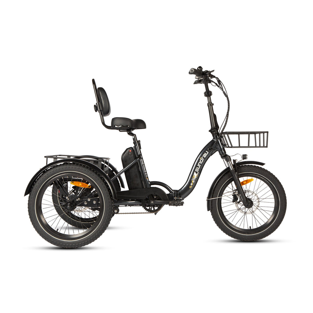 electric 3 wheeler