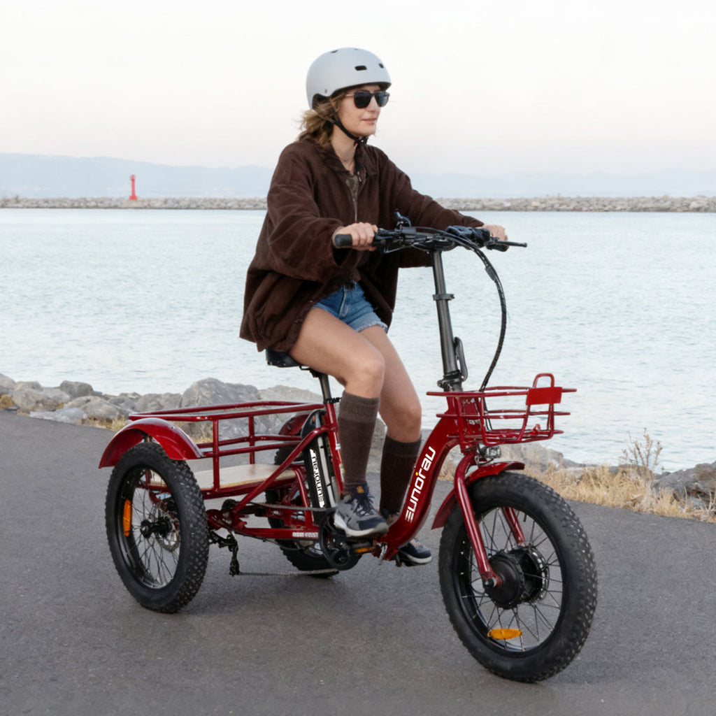 NEW-TRIKE 2.0
